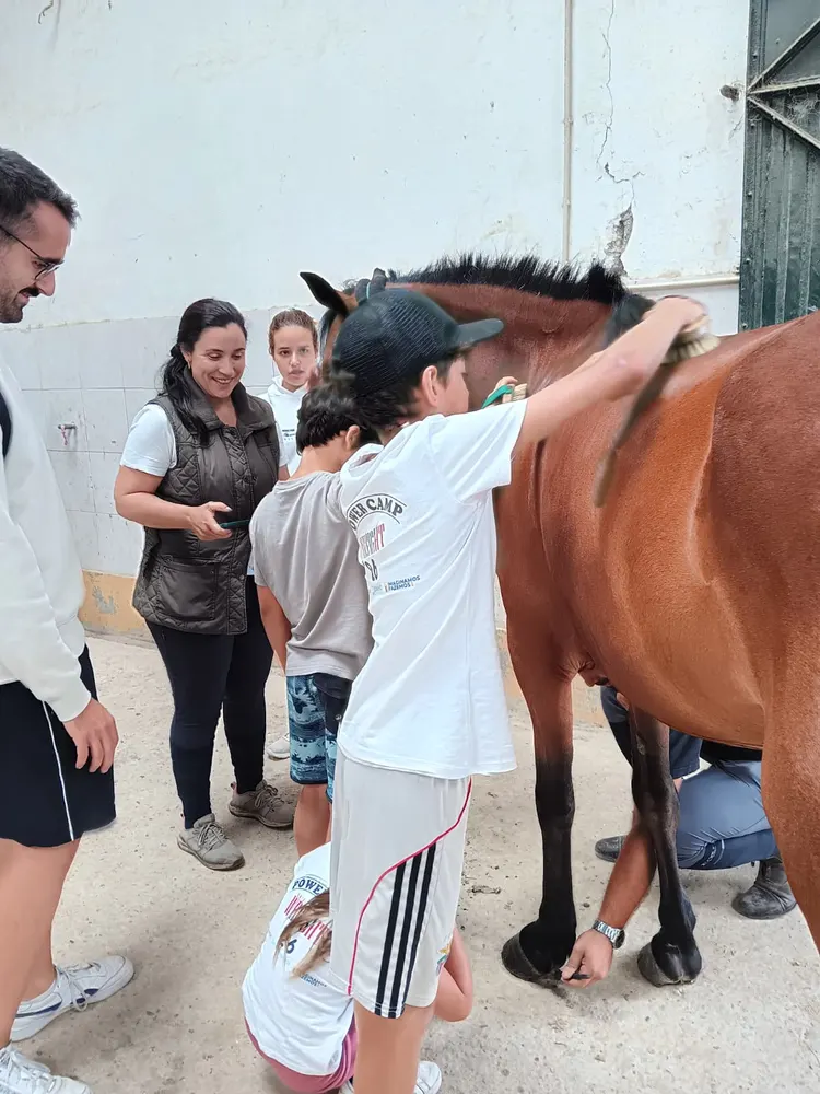 Crianças a conhecer o cavalo, com os monitores